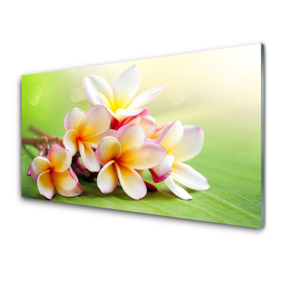 Plexiglas® Wall Art Flowers floral red white yellow