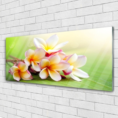 Plexiglas® Wall Art Flowers floral red white yellow