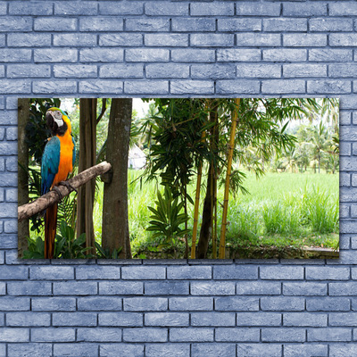 Plexiglas® Wall Art Parrot trees nature blue yellow brown green
