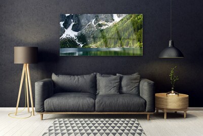 Plexiglas® Wall Art Lake forest mountains landscape grey white green