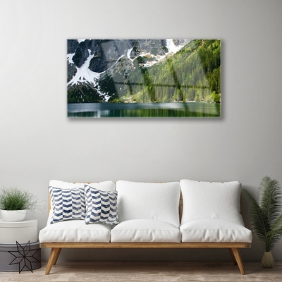 Plexiglas® Wall Art Lake forest mountains landscape grey white green