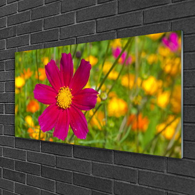 Plexiglas® Wall Art Flower floral yellow red