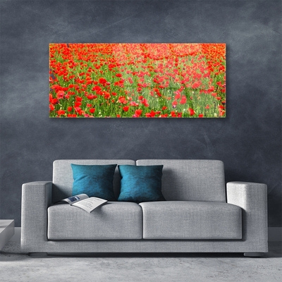 Plexiglas® Wall Art Poppies nature red green