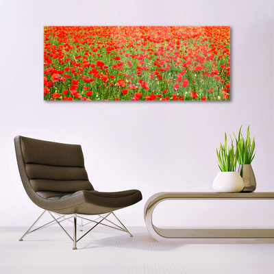 Plexiglas® Wall Art Poppies nature red green