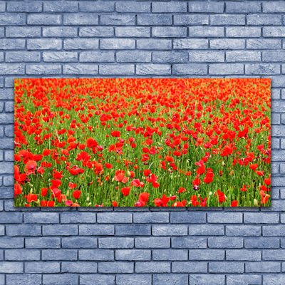 Plexiglas® Wall Art Poppies nature red green