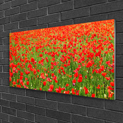 Plexiglas® Wall Art Poppies nature red green