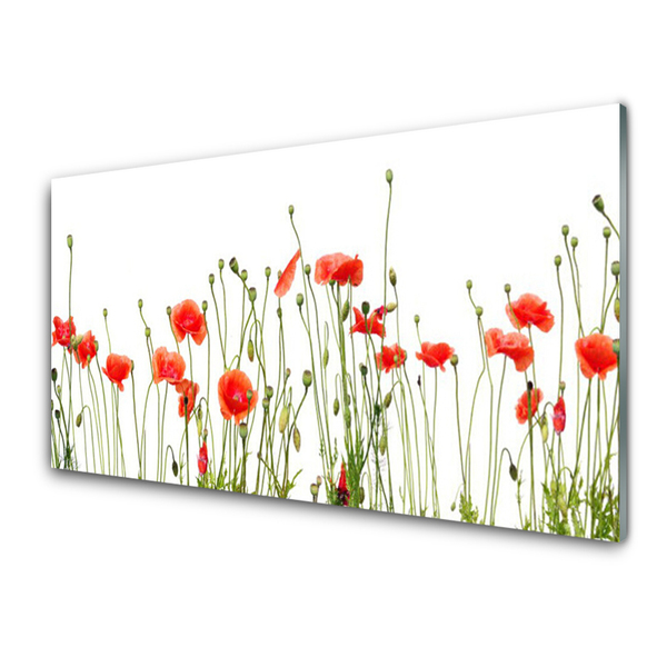 Plexiglas® Wall Art Poppies floral red green