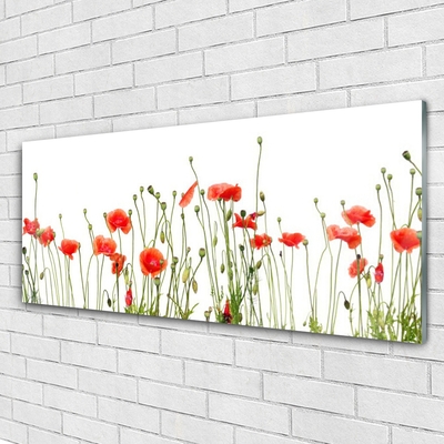 Plexiglas® Wall Art Poppies floral red green