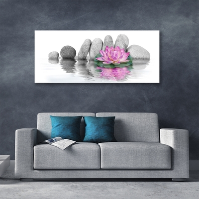 Plexiglas® Wall Art Flower stones art pink grey