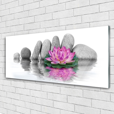 Plexiglas® Wall Art Flower stones art pink grey