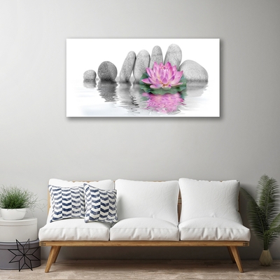 Plexiglas® Wall Art Flower stones art pink grey