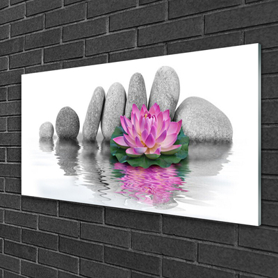 Plexiglas® Wall Art Flower stones art pink grey