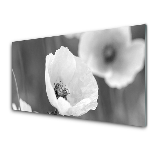 Plexiglas® Wall Art Poppies floral grey