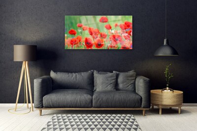 Plexiglas® Wall Art Poppies floral red black