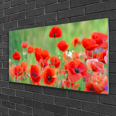 Plexiglas® Wall Art Poppies floral red black