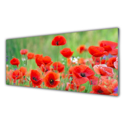 Plexiglas® Wall Art Poppies floral red black