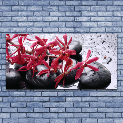 Plexiglas® Wall Art Flower stones art black red