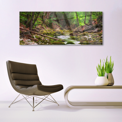 Plexiglas® Wall Art Forest nature brown green