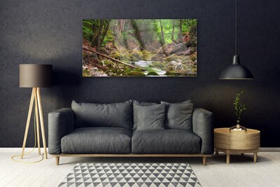 Plexiglas® Wall Art Forest nature brown green