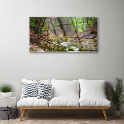 Plexiglas® Wall Art Forest nature brown green