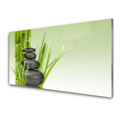 Plexiglas® Wall Art Bamboo grasses floral green black