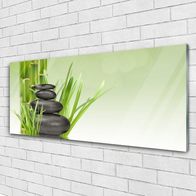 Plexiglas® Wall Art Bamboo grasses floral green black