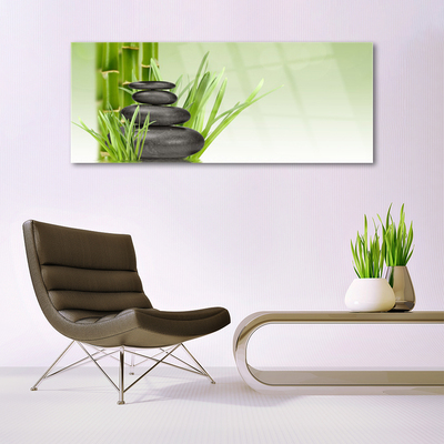 Plexiglas® Wall Art Bamboo grasses floral green black