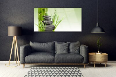 Plexiglas® Wall Art Bamboo grasses floral green black