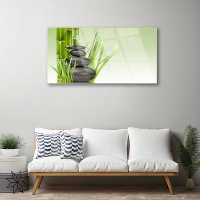 Plexiglas® Wall Art Bamboo grasses floral green black