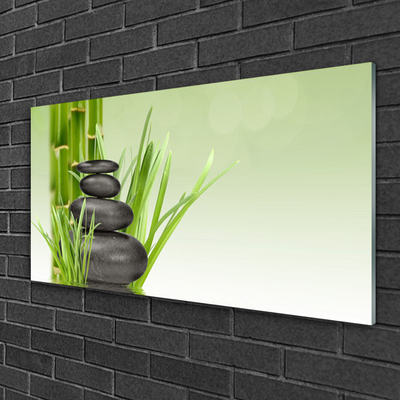 Plexiglas® Wall Art Bamboo grasses floral green black