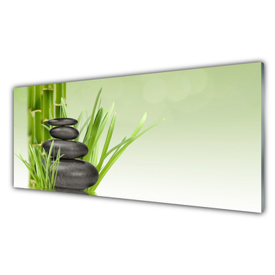 Plexiglas® Wall Art Bamboo grasses floral green black