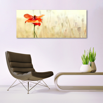 Plexiglas® Wall Art Poppy floral red green