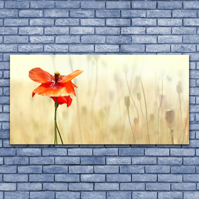 Plexiglas® Wall Art Poppy floral red green