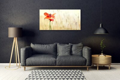 Plexiglas® Wall Art Poppy floral red green