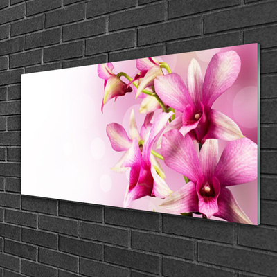 Plexiglas® Wall Art Flowers floral pink