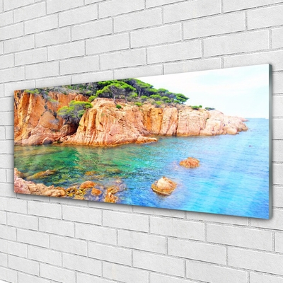 Plexiglas® Wall Art Rocky sea landscape blue yellow grey green