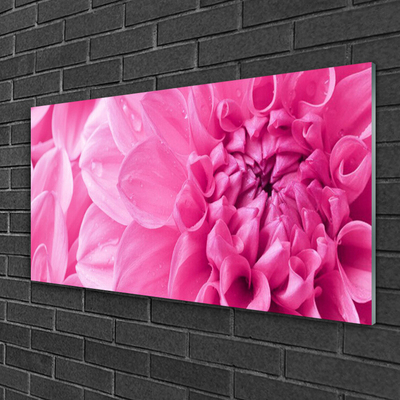 Plexiglas® Wall Art Flowers floral pink