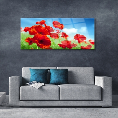 Plexiglas® Wall Art Poppies floral red