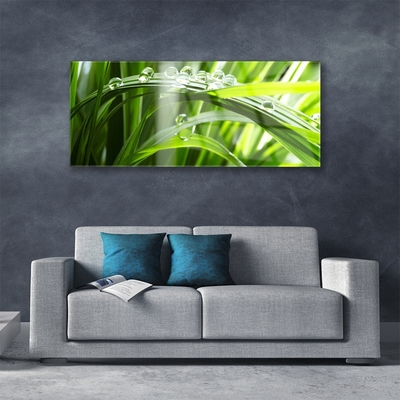 Plexiglas® Wall Art Grass dew drops floral green