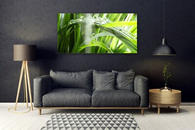 Plexiglas® Wall Art Grass dew drops floral green