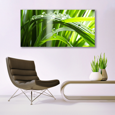 Plexiglas® Wall Art Grass dew drops floral green