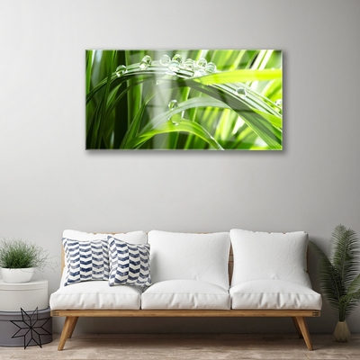 Plexiglas® Wall Art Grass dew drops floral green