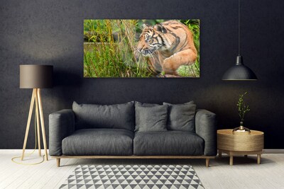 Plexiglas® Wall Art Tiger animals brown black