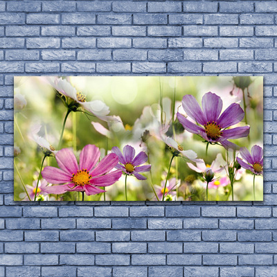 Plexiglas® Wall Art Flowers nature pink yellow green