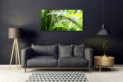 Plexiglas® Wall Art Grass water drops nature green