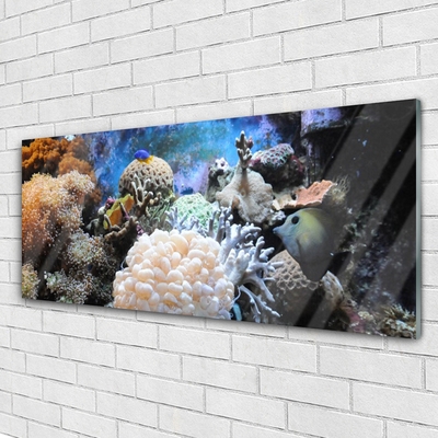 Plexiglas® Wall Art Coral reef nature grey white yellow