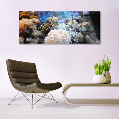 Plexiglas® Wall Art Coral reef nature grey white yellow