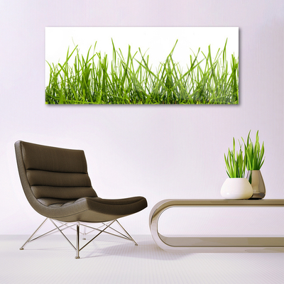 Plexiglas® Wall Art Grass nature green