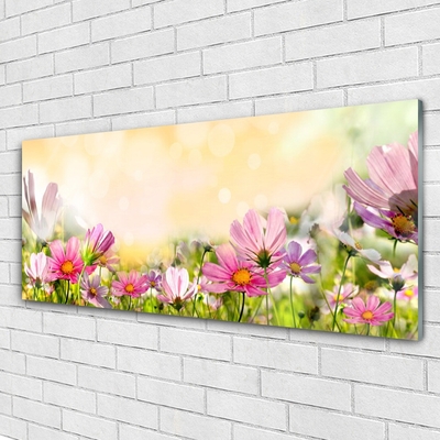 Plexiglas® Wall Art Flowers nature pink yellow green