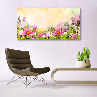 Plexiglas® Wall Art Flowers nature pink yellow green